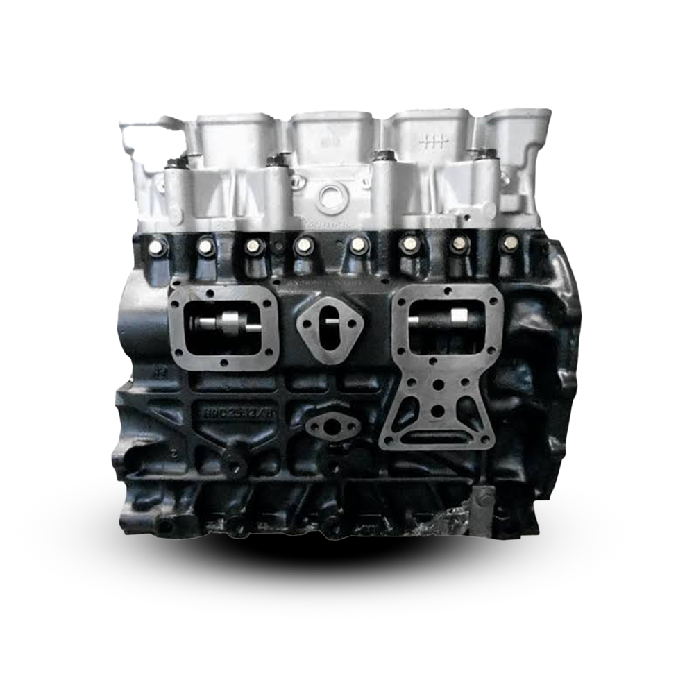 Motor MAXION HS